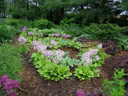 Cliquez pour agrandir l'image