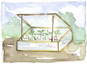 petite serre chassis au sol