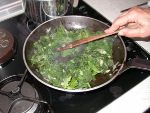 Oignon revenu et feuilles d'orties