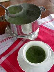 Service du potage d'ortie sauvage