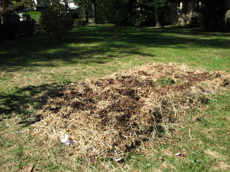 Couche de Bois Raméal Fragmenté