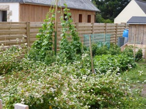 Ombre au potager avec des panneaux de bois