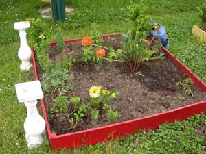Un potager en carré avec des fleurs