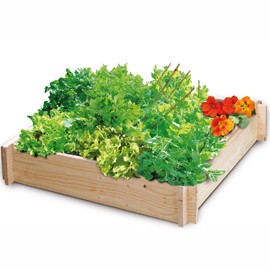 Un potager en carré avec des fleurs