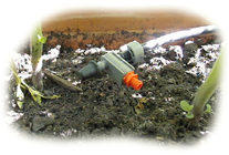 goutte à goutte dans une jardinière