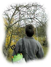 pulverisation de bouillie bordelaise au printemps et à l'automne