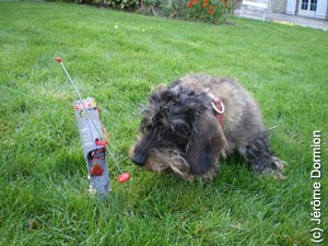 Piège à taupes et animal domestique