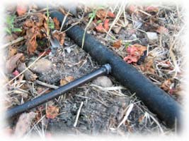 tuyaux de 16mm et jonction vers tuyau de 4,6mm