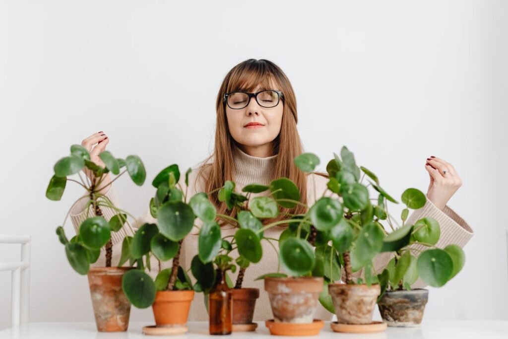 Quelle plante pour le stress et l'anxiété : guide complet